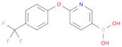 Boronic acid, B-[6-[4-(trifluoromethyl)phenoxy]-3-pyridinyl]-