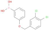 Boronic acid, B-[3-[(3,4-dichlorophenyl)methoxy]phenyl]-