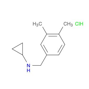 N-cyclopropyl 3,4-dimethylbenzylamine HCl