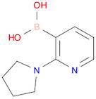 Boronic acid, B-[2-(1-pyrrolidinyl)-3-pyridinyl]-