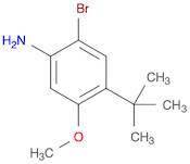 Benzenamine, 2-bromo-4-(1,1-dimethylethyl)-5-methoxy-