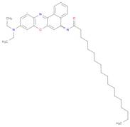 Octadecanamide, N-[9-(diethylamino)-5H-benzo[a]phenoxazin-5-ylidene]-