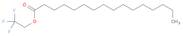 Hexadecanoic acid, 2,2,2-trifluoroethyl ester