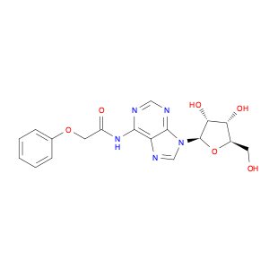 N-(9-((2R,3R,4S,5R)-3,4-DIHYDROXY-5-(HYDROXYMETHYL)TETRAHYDROFURAN-2-YL)-9H-PURIN-6-YL)-2-PHENOXYA…