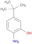 Phenol, 2-amino-5-(1,1-dimethylethyl)-