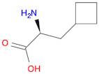 Cyclobutanepropanoic acid, α-amino-, (αS)-