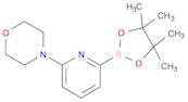 Morpholine, 4-[6-(4,4,5,5-tetramethyl-1,3,2-dioxaborolan-2-yl)-2-pyridinyl]-