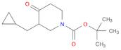 1-Piperidinecarboxylic acid, 3-(cyclopropylmethyl)-4-oxo-, 1,1-dimethylethyl ester