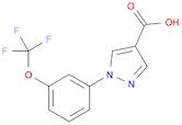 1H-Pyrazole-4-carboxylic acid, 1-[3-(trifluoromethoxy)phenyl]-