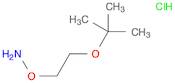 Hydroxylamine, O-[2-(1,1-dimethylethoxy)ethyl]-, hydrochloride (1:1)