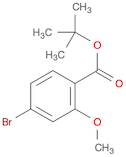 Benzoic acid, 4-bromo-2-methoxy-, 1,1-dimethylethyl ester