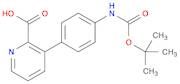 2-Pyridinecarboxylic acid, 3-[4-[[(1,1-dimethylethoxy)carbonyl]amino]phenyl]-