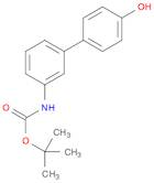 Carbamic acid, N-(4'-hydroxy[1,1'-biphenyl]-3-yl)-, 1,1-dimethylethyl ester