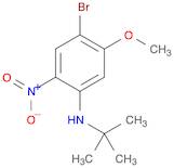 Benzenamine, 4-bromo-N-(1,1-dimethylethyl)-5-methoxy-2-nitro-