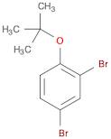 Benzene, 2,4-dibromo-1-(1,1-dimethylethoxy)-