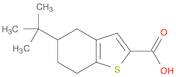 Benzo[b]thiophene-2-carboxylic acid, 5-(1,1-dimethylethyl)-4,5,6,7-tetrahydro-