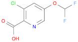 2-Pyridinecarboxylic acid, 3-chloro-5-(difluoromethoxy)-