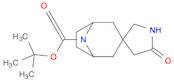 Spiro[8-azabicyclo[3.2.1]octane-3,3'-pyrrolidine]-8-carboxylic acid, 5'-oxo-, 1,1-dimethylethyl ...