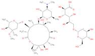 Erythromycin, 6-O-α-D-galactopyranosyl-D-gluconate (salt) (9CI)