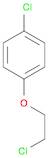 Benzene, 1-chloro-4-(2-chloroethoxy)-