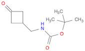 Carbamic acid, [(3-oxocyclobutyl)methyl]-, 1,1-dimethylethyl ester (9CI)