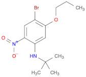 Benzenamine, 4-bromo-N-(1,1-dimethylethyl)-2-nitro-5-propoxy-