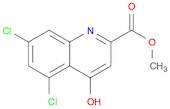 2-Quinolinecarboxylic acid, 5,7-dichloro-4-hydroxy-, methyl ester