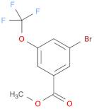 Benzoic acid, 3-bromo-5-(trifluoromethoxy)-, methyl ester