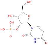 2'-Uridylic acid