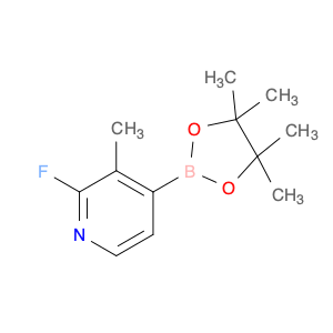 Pyridine, 2-fluoro-3-methyl-4-(4,4,5,5-tetramethyl-1,3,2-dioxaborolan-2-yl)-