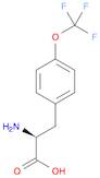 L-Tyrosine, O-(trifluoromethyl)-