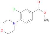 Benzoic acid, 3-chloro-4-(4-morpholinyl)-, methyl ester