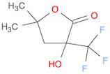 2(3H)-Furanone, dihydro-3-hydroxy-5,5-dimethyl-3-(trifluoromethyl)-