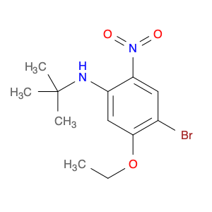 Benzenamine, 4-bromo-N-(1,1-dimethylethyl)-5-ethoxy-2-nitro-