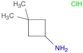 Cyclobutanamine, 3,3-dimethyl-, hydrochloride (1:1)