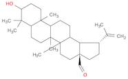 Lup-20(29)-en-28-al, 3-hydroxy-, (3β)-