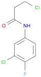 Propanamide, 3-chloro-N-(3-chloro-4-fluorophenyl)-