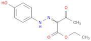 Butanoic acid, 2-[2-(4-hydroxyphenyl)hydrazinylidene]-3-oxo-, ethyl ester