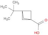 Bicyclo[1.1.1]pentane-1-carboxylic acid, 3-(1,1-dimethylethyl)-