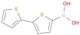 Boronic acid, B-[2,2'-bithiophen]-5-yl-