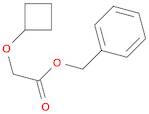 Acetic acid, 2-(cyclobutyloxy)-, phenylmethyl ester