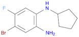 1,2-Benzenediamine, 4-bromo-N1-cyclopentyl-5-fluoro-