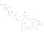 Pituitary adenylate cyclase-activating peptide