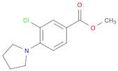 Benzoic acid, 3-chloro-4-(1-pyrrolidinyl)-, methyl ester