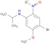 Benzenamine, 4-bromo-5-methoxy-N-(1-methylethyl)-2-nitro-