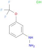 Hydrazine, [3-(trifluoromethoxy)phenyl]-, hydrochloride (1:1)