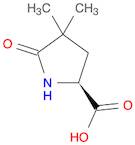 L-Proline, 4,4-dimethyl-5-oxo-