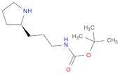 Carbamic acid, N-[3-(2R)-2-pyrrolidinylpropyl]-, 1,1-dimethylethyl ester