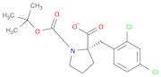 1,2-Pyrrolidinedicarboxylic acid, 2-[(2,4-dichlorophenyl)methyl]-, 1-(1,1-dimethylethyl) ester, (2…