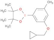 1,3,2-Dioxaborolane, 2-[3-(cyclopropylmethoxy)-5-methylphenyl]-4,4,5,5-tetramethyl-